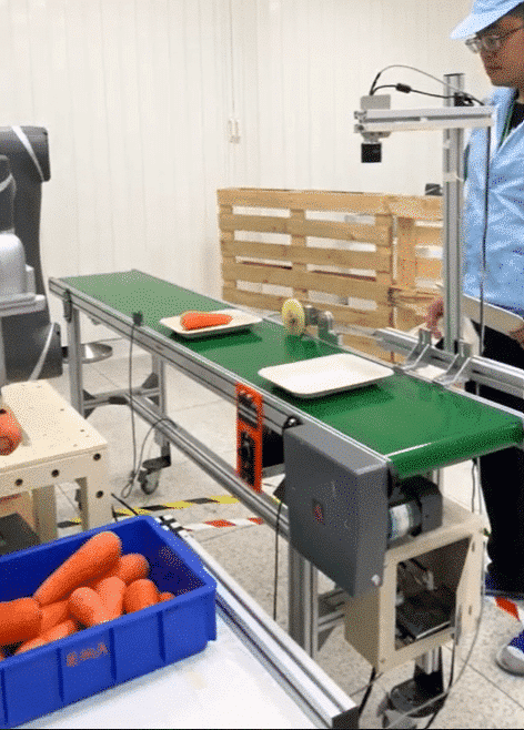 carrot-food-processing